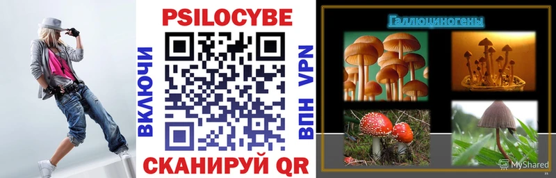 как найти закладки  Волгореченск  omg зеркало  Псилоцибиновые грибы мухоморы 